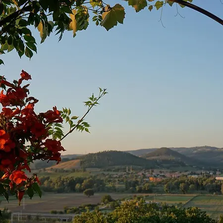 Podere Sette Piagge *