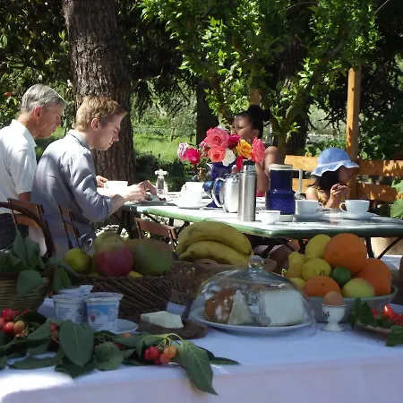 Podere Sette Piagge * Orvieto