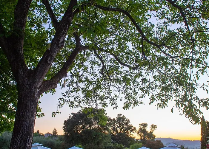 Podere Sette Piagge Orvieto