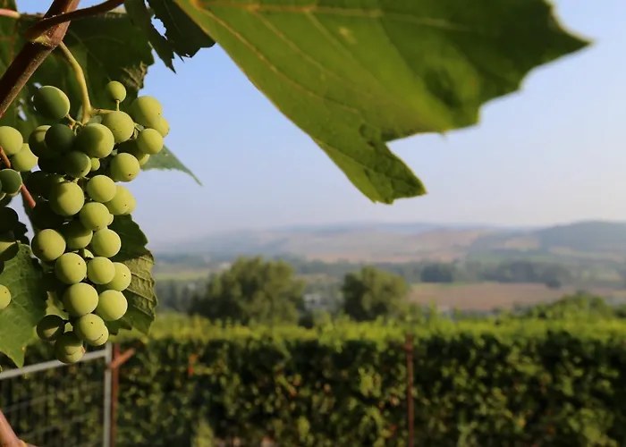 Casa rural Podere Sette Piagge Orvieto